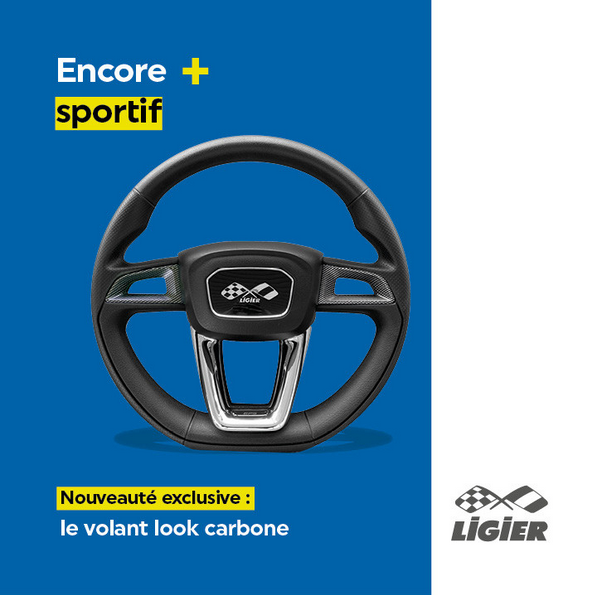 volant sport